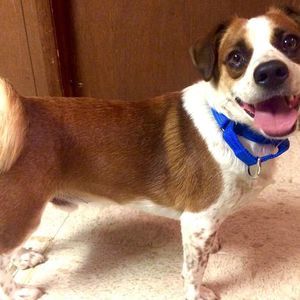 Meet your Posher, Miranda